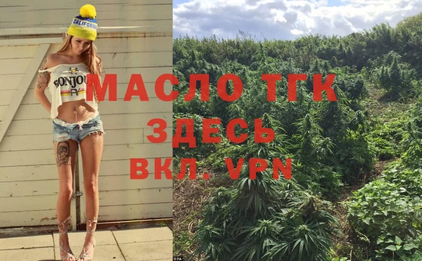 крисы Аркадак