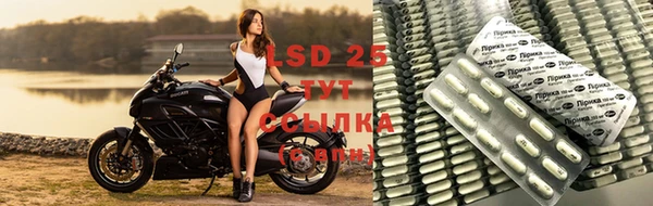 крисы Аркадак