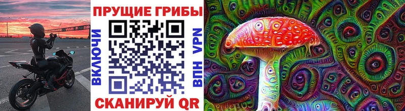 Галлюциногенные грибы Cubensis  Купить  Торжок 